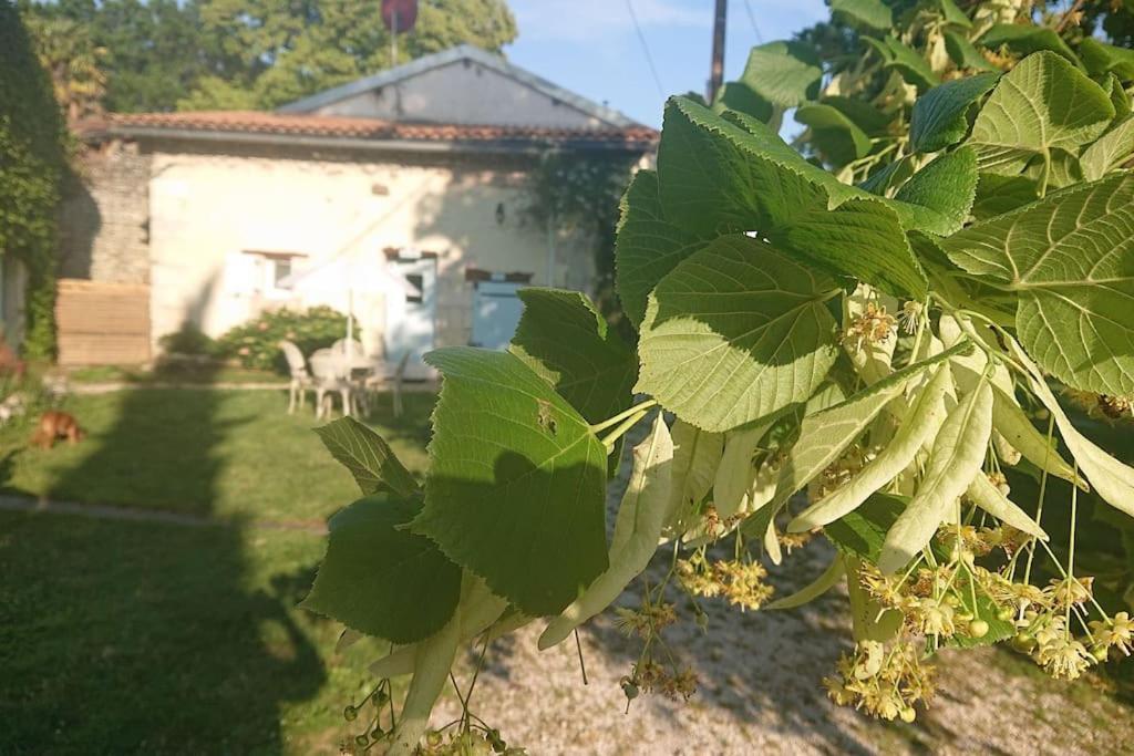Entire Apartment With Swimming Pool Near Aubeterre Saint-Romain  Εξωτερικό φωτογραφία