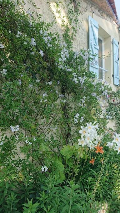 Entire Apartment With Swimming Pool Near Aubeterre Saint-Romain  Εξωτερικό φωτογραφία