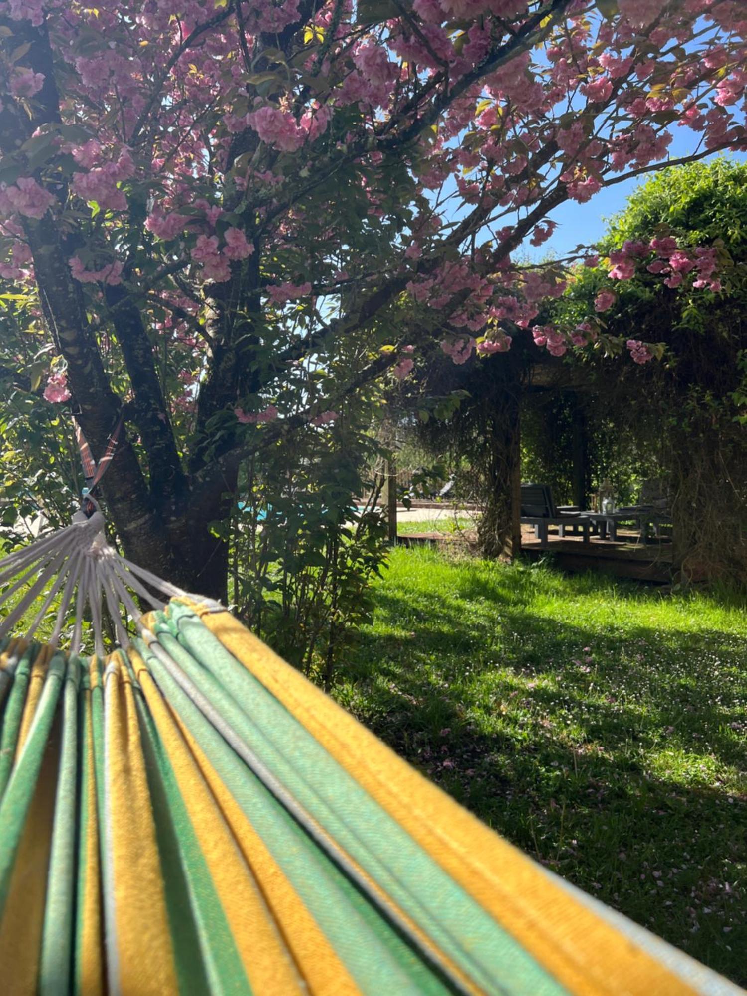Entire Apartment With Swimming Pool Near Aubeterre Saint-Romain  Εξωτερικό φωτογραφία